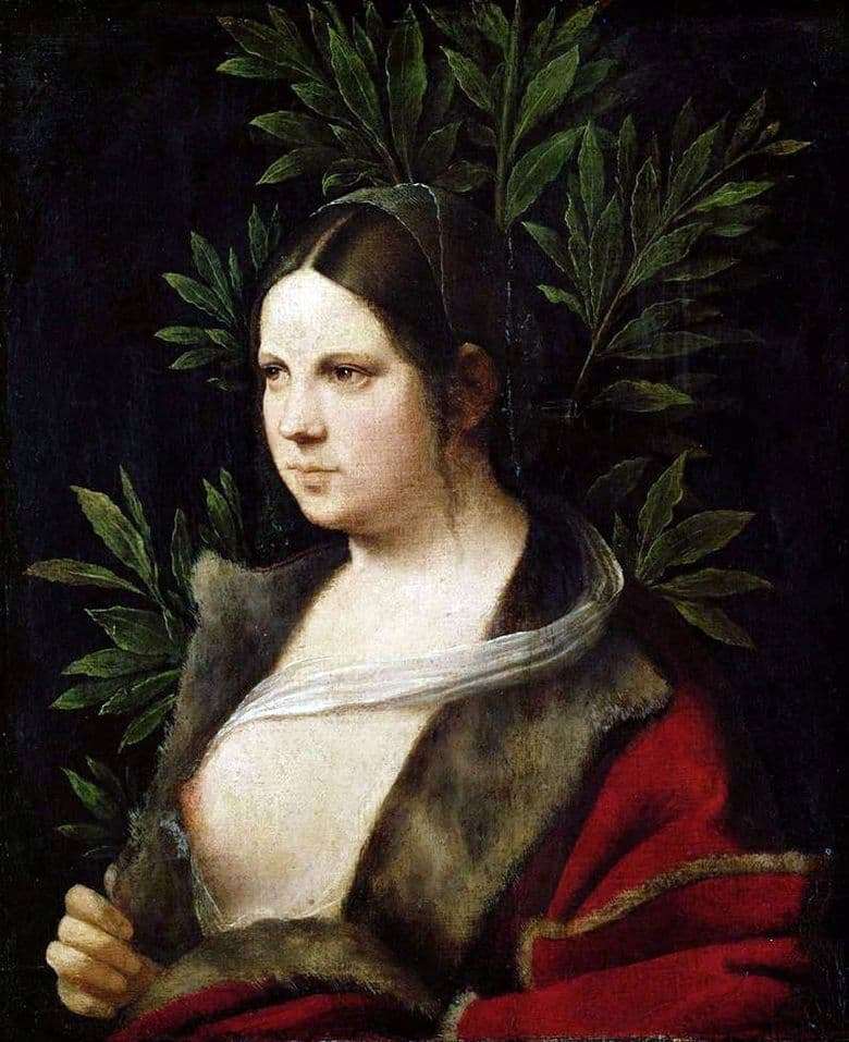 Description of the painting by Giorgione Laura
