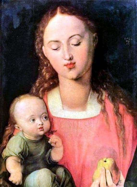Description of the painting by Albrecht Durer Mary with the Child