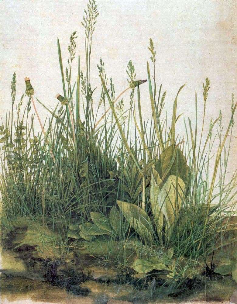 Description of the painting by Albrecht Durer A piece of sod