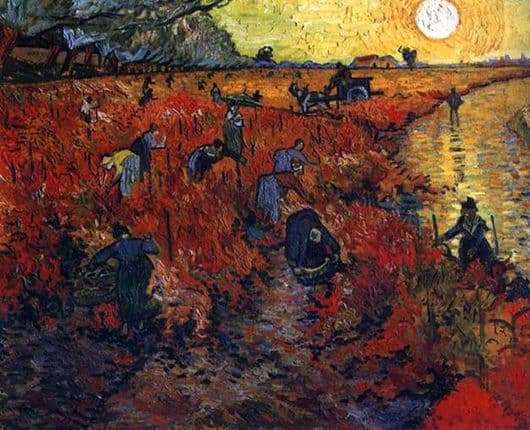 Description of the painting by Vincent Van Gogh Red vineyards in Arles