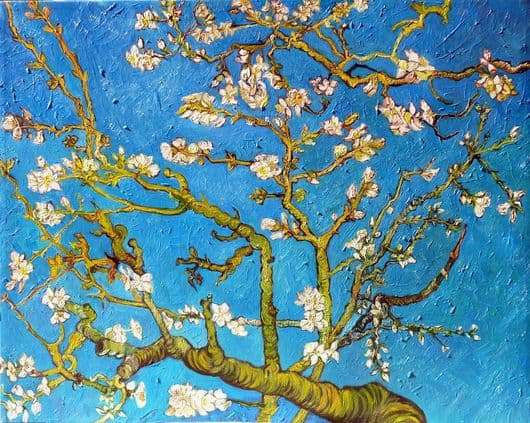Description of the painting by Vincent Van Gogh Flowering almond branches