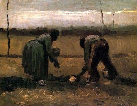 Description of the painting by Vincent van Gogh The peasant and the peasant woman planting potatoes