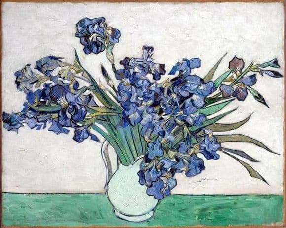 Description of the painting by Vincent van Gogh Vase with irises