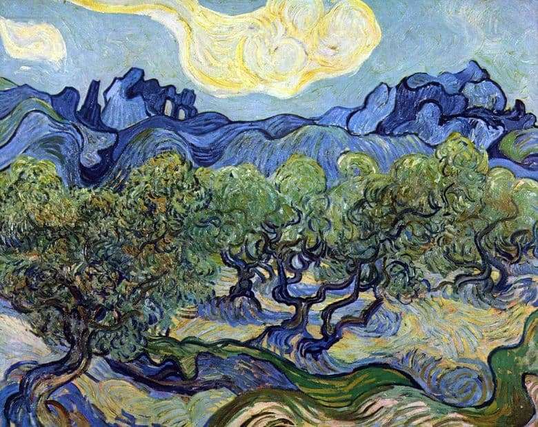 Description of the painting by Vincent Willem van Gogh Landscape with Olives &; nbsp