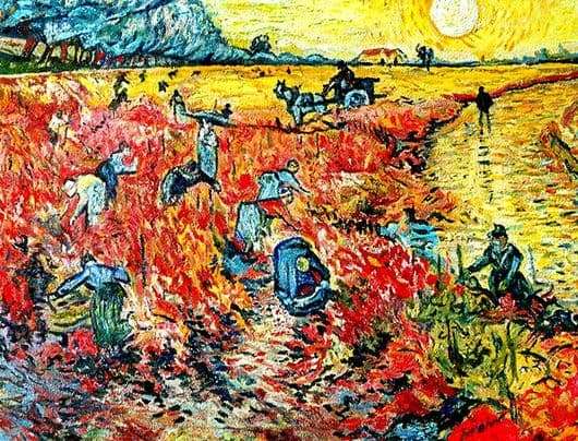 Description of the painting by Vincent van Gogh Red vineyards