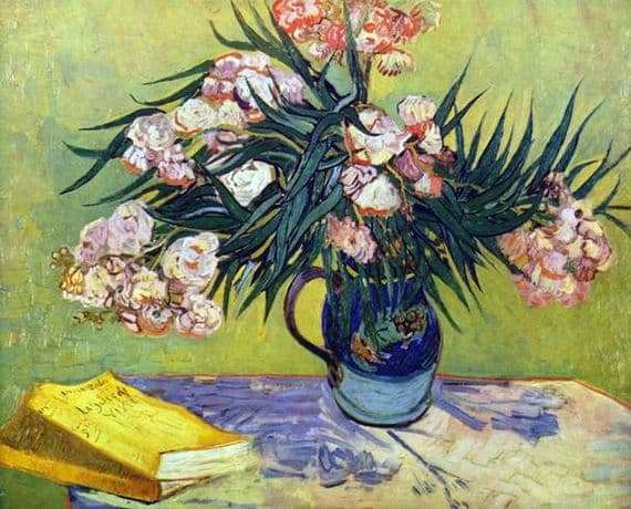 Description of the painting by Vincent Van Gogh Oleander