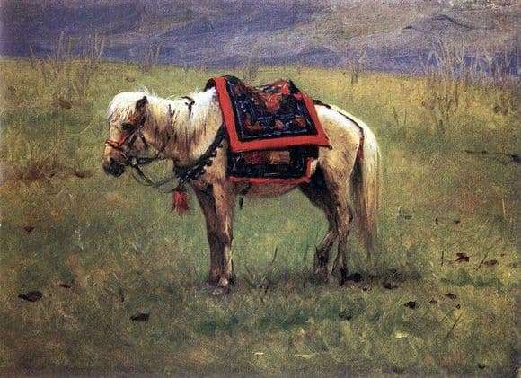 Description of the painting by Vasily Vereshchagin Himalayan pony