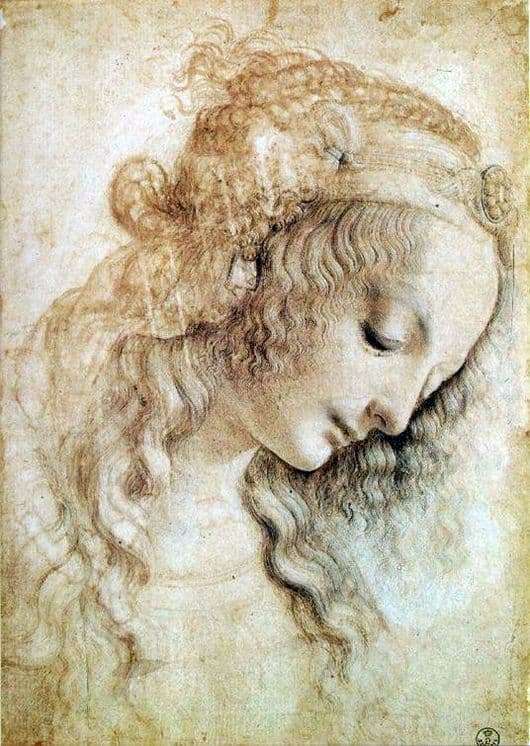Description of the painting by Leonardo da Vinci The head of a woman