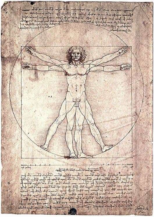 Description of the painting by Leonardo da Vinci Vitruvian Man