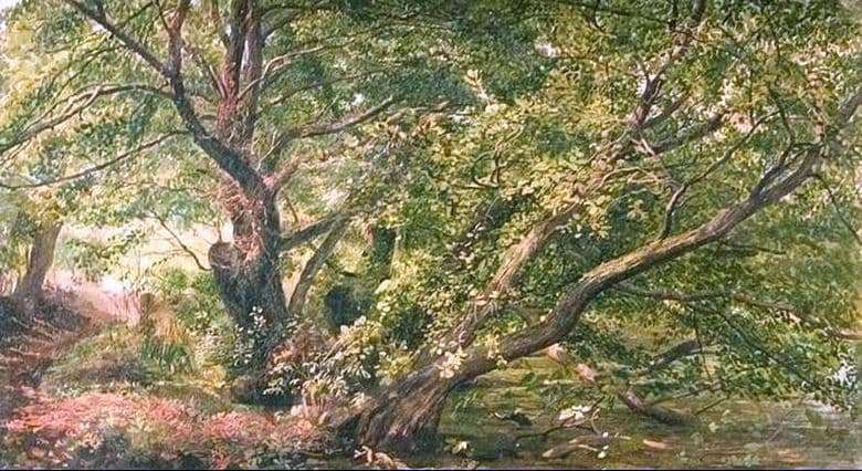 Description of the painting by Alexander Ivanov Trees at the stream