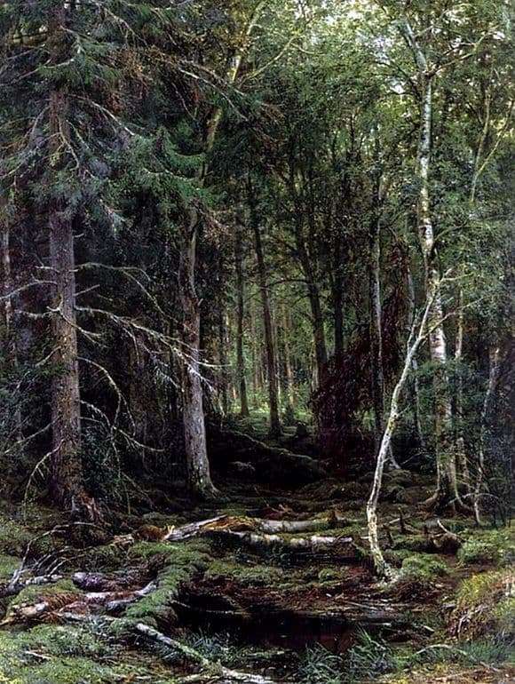Description of the painting by Ivan Shishkin Forest wilderness