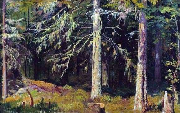 Description of the painting by Ivan Shishkin Spruce Forest