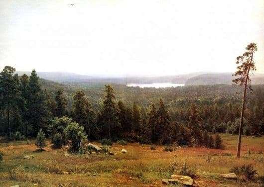 Description of the painting by Ivan Shishkin Forest gave