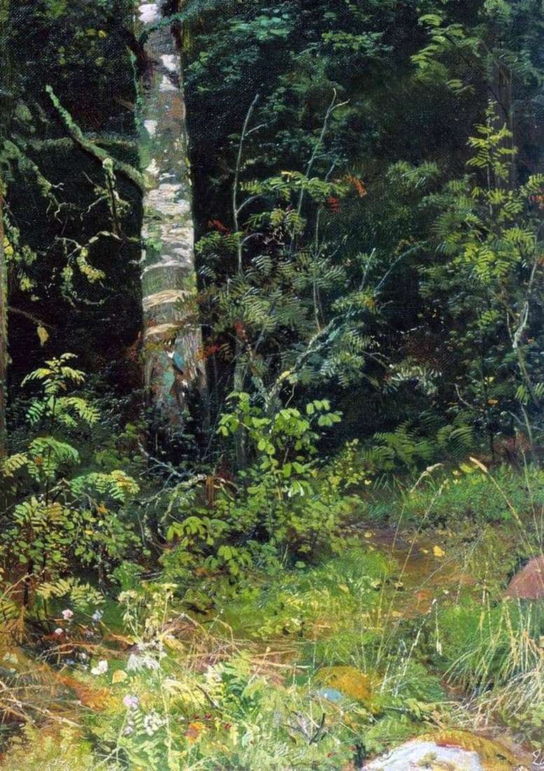 Description of the painting by Ivan Ivanovich Shishkin Birch and rowan