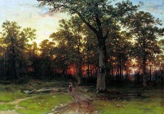 Description of the painting by Ivan Shishkin Forest in the evening