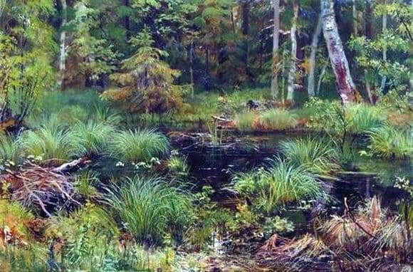 Description of the painting by Ivan Shishkin Spring in the forest