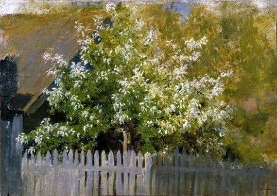 Description of the painting by Isaac Levitan Prunus