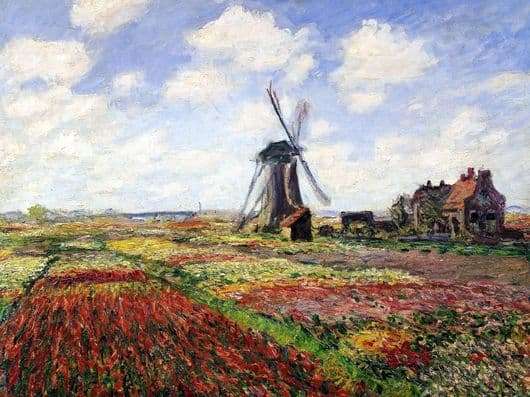 Description of the painting by Claude Monet Tulips of Holland