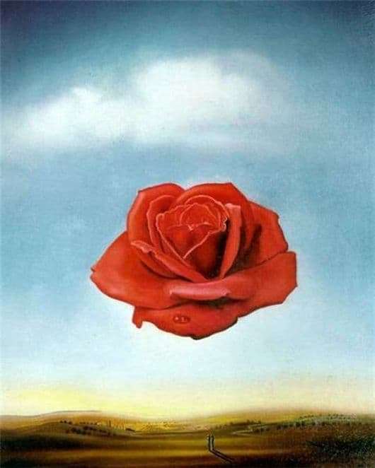 Description of the painting by Salvador Dali Flower (Meditative Rose)