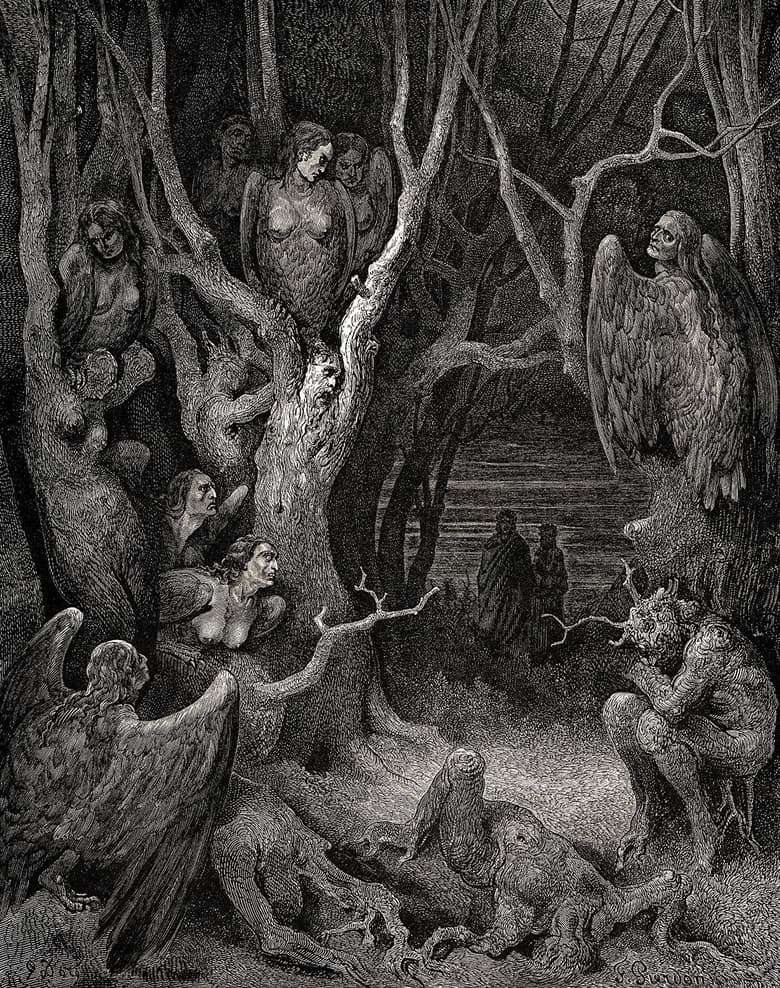 Description Of The Illustration By Gustave Dore The Forest Of Suicides Dore Gustav