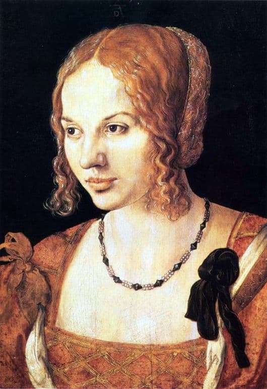 Description of the painting by Albrecht Durer Portrait of a Venetian
