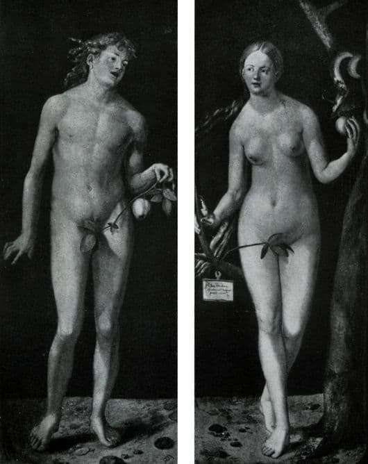 Description of the painting by Albrecht Durer Adam and Eve