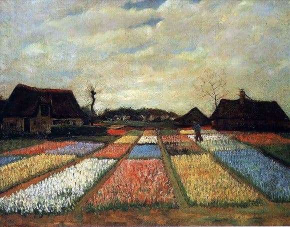 Description of the painting by Vincent van Gogh Fields of tulips
