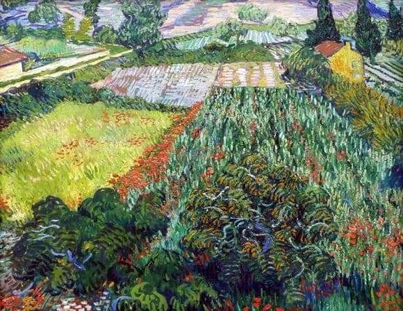 Sunflower Field Painting Van Gogh