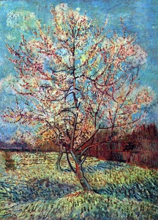 Description of the painting by Vincent Van Gogh Peach tree in bloom