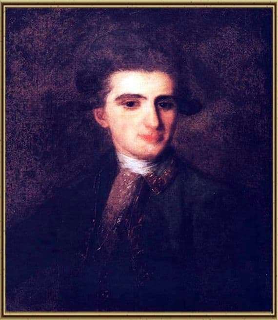 Description of the painting by Fedor Rokotov Portrait of Nikolai Struysky