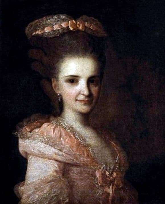 Description of the painting by Fedor Rokotov Portrait of an Unknown Woman in a Pink Dress