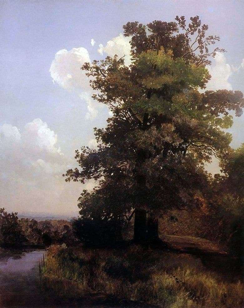 Description of the painting by Alexei Savrasov Oaks