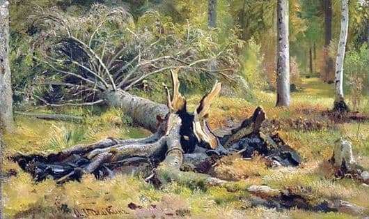 Description of the painting by Ivan Shishkin Fallen Tree