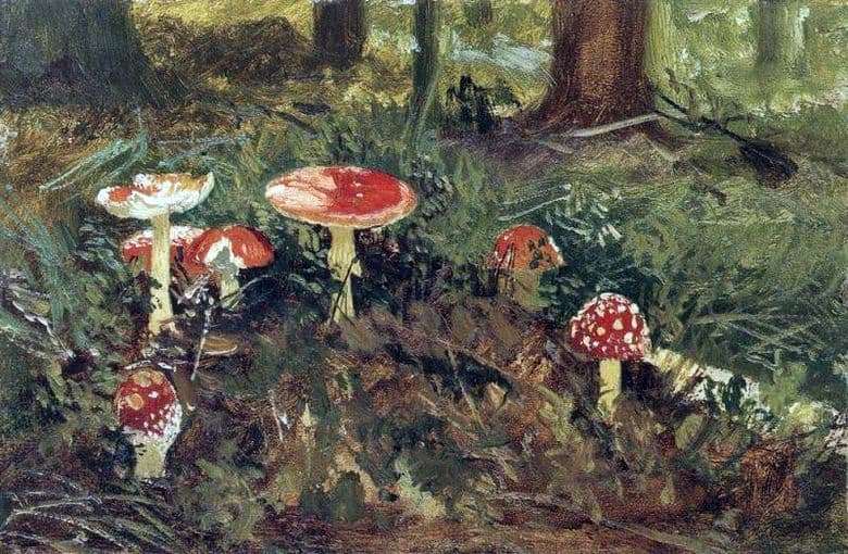 Description of the painting by Ivan Shishkin Amanita