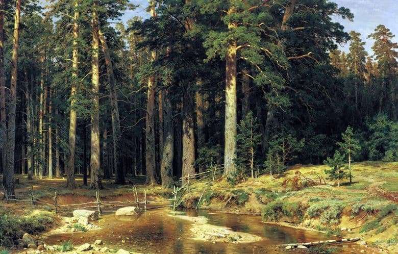 Description of the painting by Ivan Shishkin Ship Forest