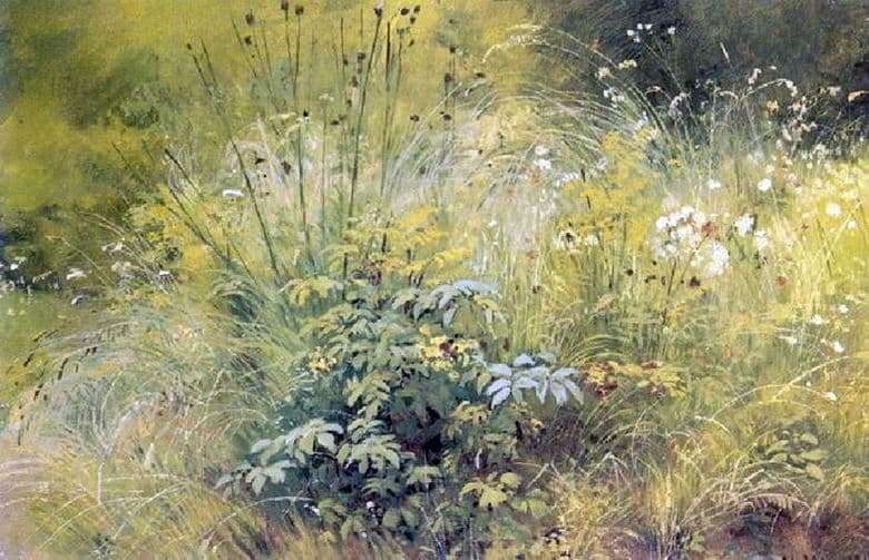 Description of the painting by Ivan Shishkin Grass