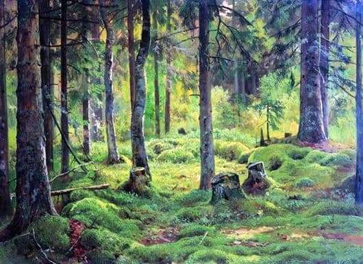 Description of the painting by Ivan Shishkin Valezhnik