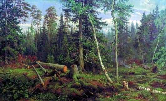 Description of the painting by Ivan Shishkin Forest felling