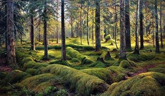 Description of the painting by Ivan Shishkin Forest cemetery