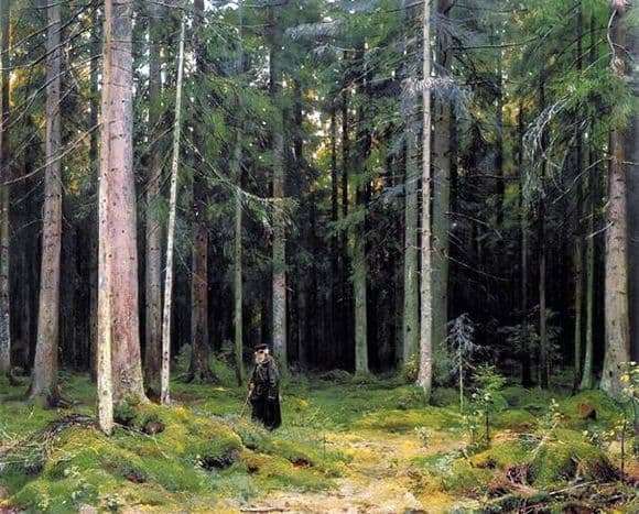 Description of the painting by Ivan Shishkin In the Forest of Countess Mordvinova