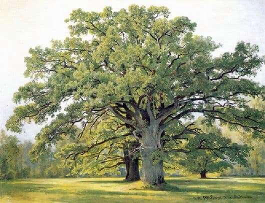 Description of the painting by Ivan Shishkin Oaks in old Peterhof