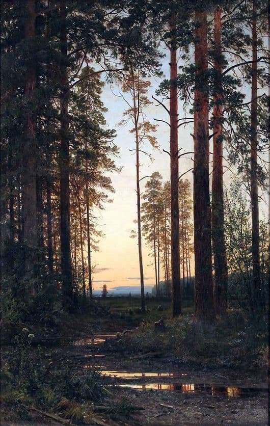 Description of the painting by Ivan Shishkin Twilight