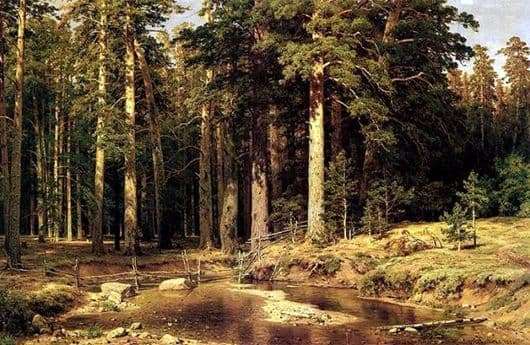 Description of the painting by Ivan Shishkin Ship Grove