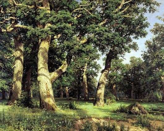 Description of the painting by Ivan Shishkin Oak Grove