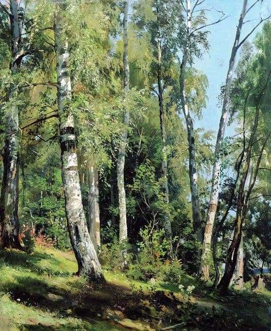 Description of the painting by Ivan Shishkin Birch Grove