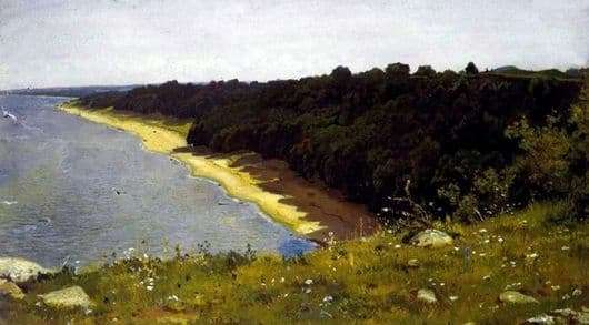 Description of the painting by Ivan Shishkin By the Sea