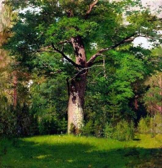 Description of the painting by Isaac Levitan Oak