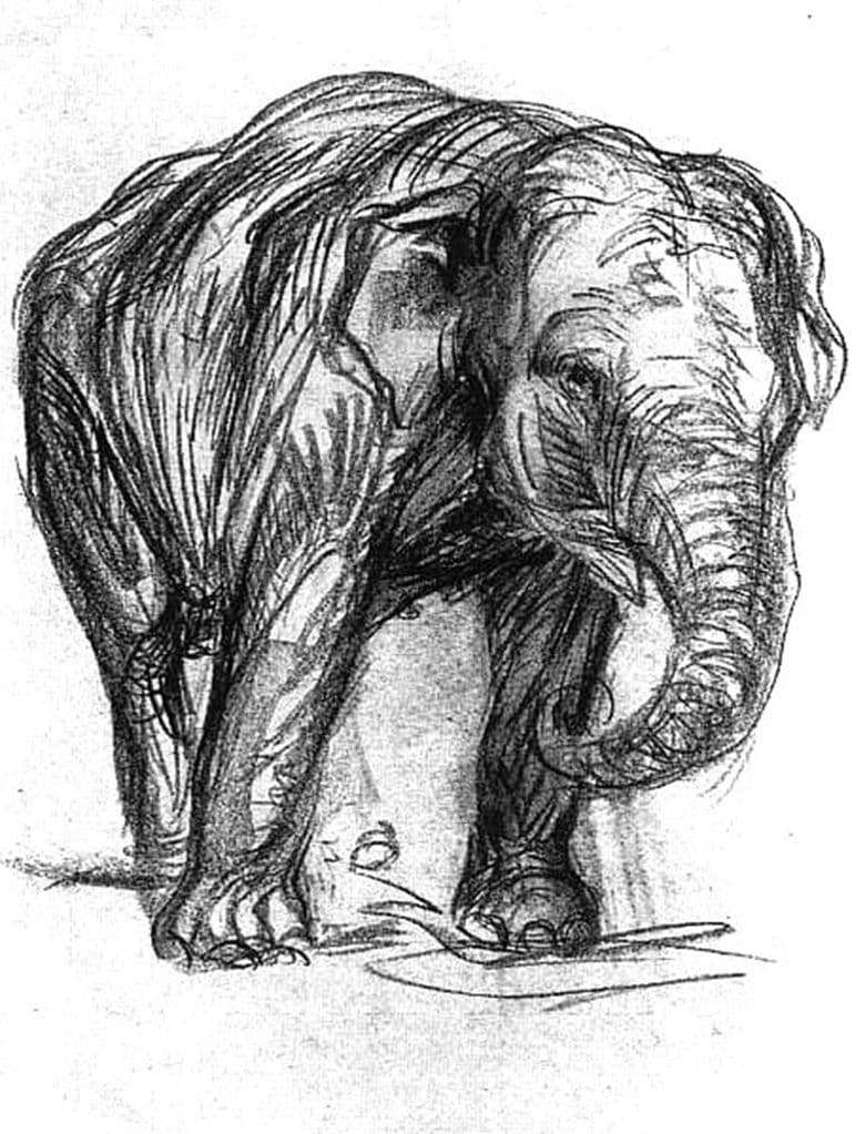 Description of the painting by Franz Mark Elephant