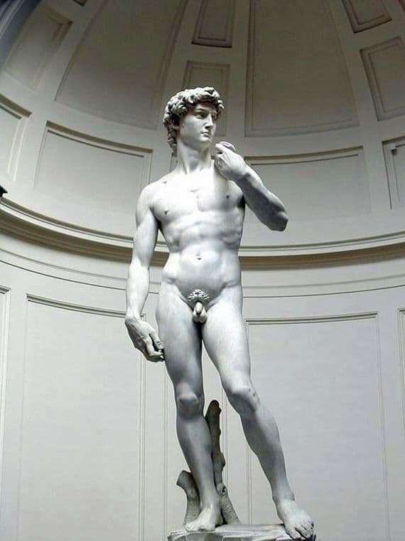 Description of the sculpture by Michelangelo Buanarroti David