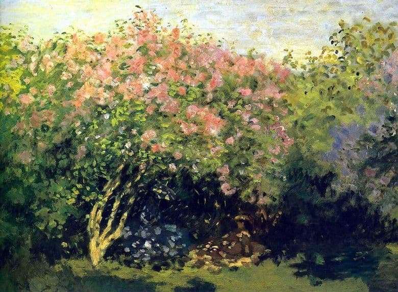 Description of the painting by Claude Monet Lilac in the sun